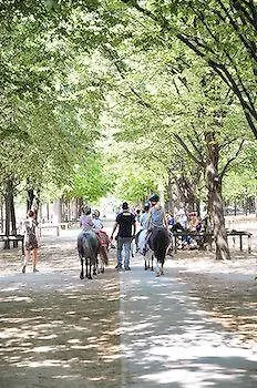 Short Luxembourg Paris